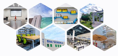 消博線報 醫藥黑科技、珍稀祖母綠與人工智能軟件齊聚，引領消費新浪潮